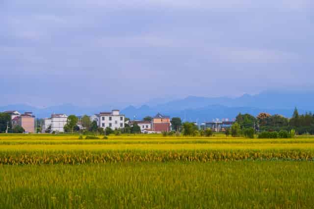 浣溪沙·归家