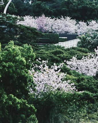 花园
