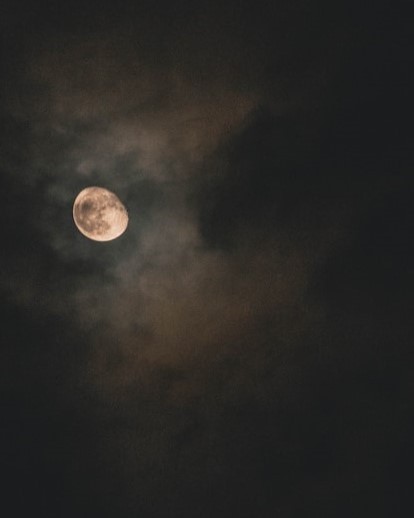 献给黑夜的女儿——月