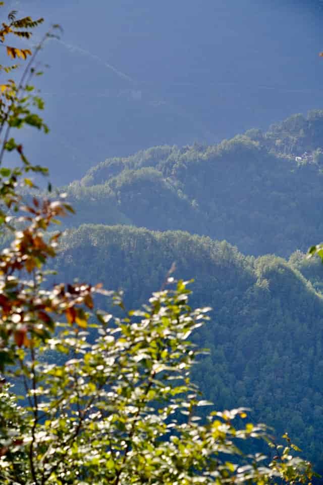 看山